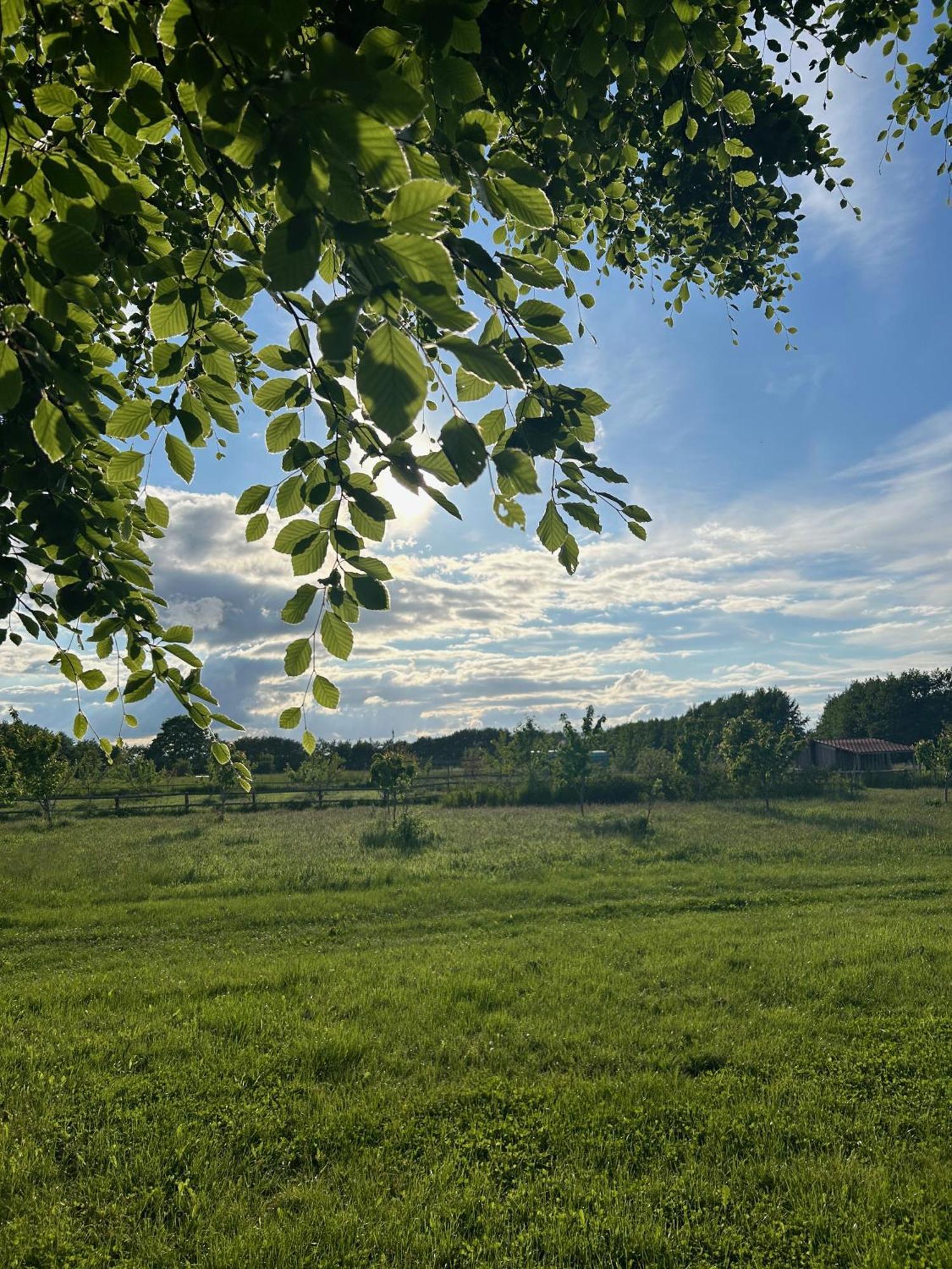 Stevns Camp Villa Strøby Ladeplads Exteriör bild